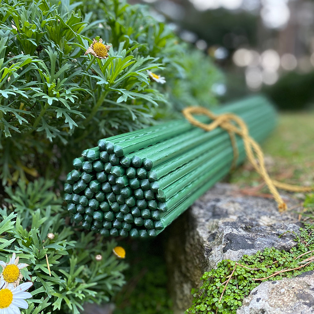 plastic plant support sticks Plastic Coated Metal Garden Plant Support Sticks (140cm)
