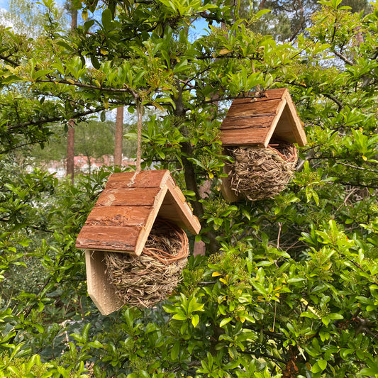 Two woven bird nesters with wooden roofs hanging in a green bush, depicting a natural outdoor setting.