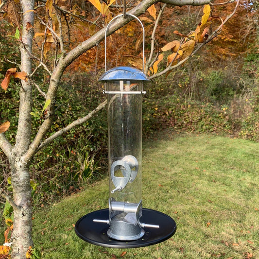 A silver aluminium bird seed feeder with a seed catching tray at the bottom, hanging from a tree with autumn leaves in the background.