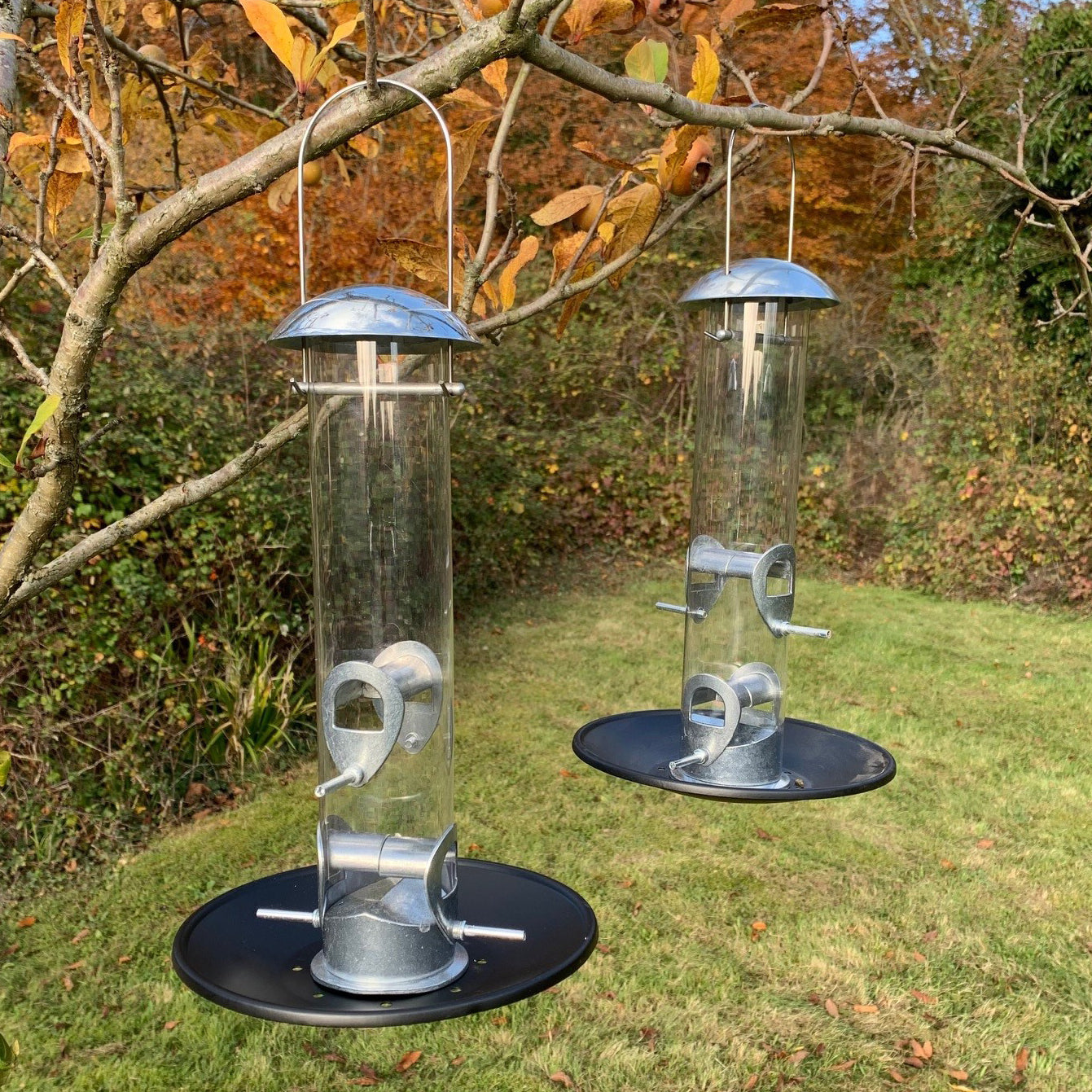 Two cylindrical aluminium bird seed feeders with seed catcher trays attached at the bottom, hanging from trees in a garden setting.