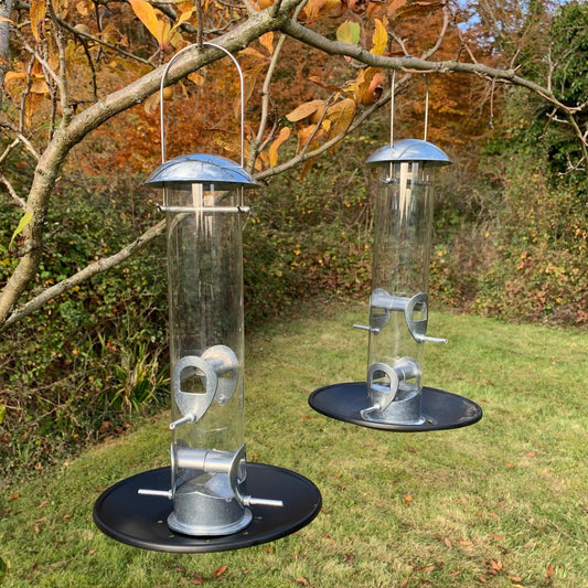 Two cylindrical aluminium bird seed feeders with seed catcher trays attached at the bottom, hanging from trees in a garden setting.