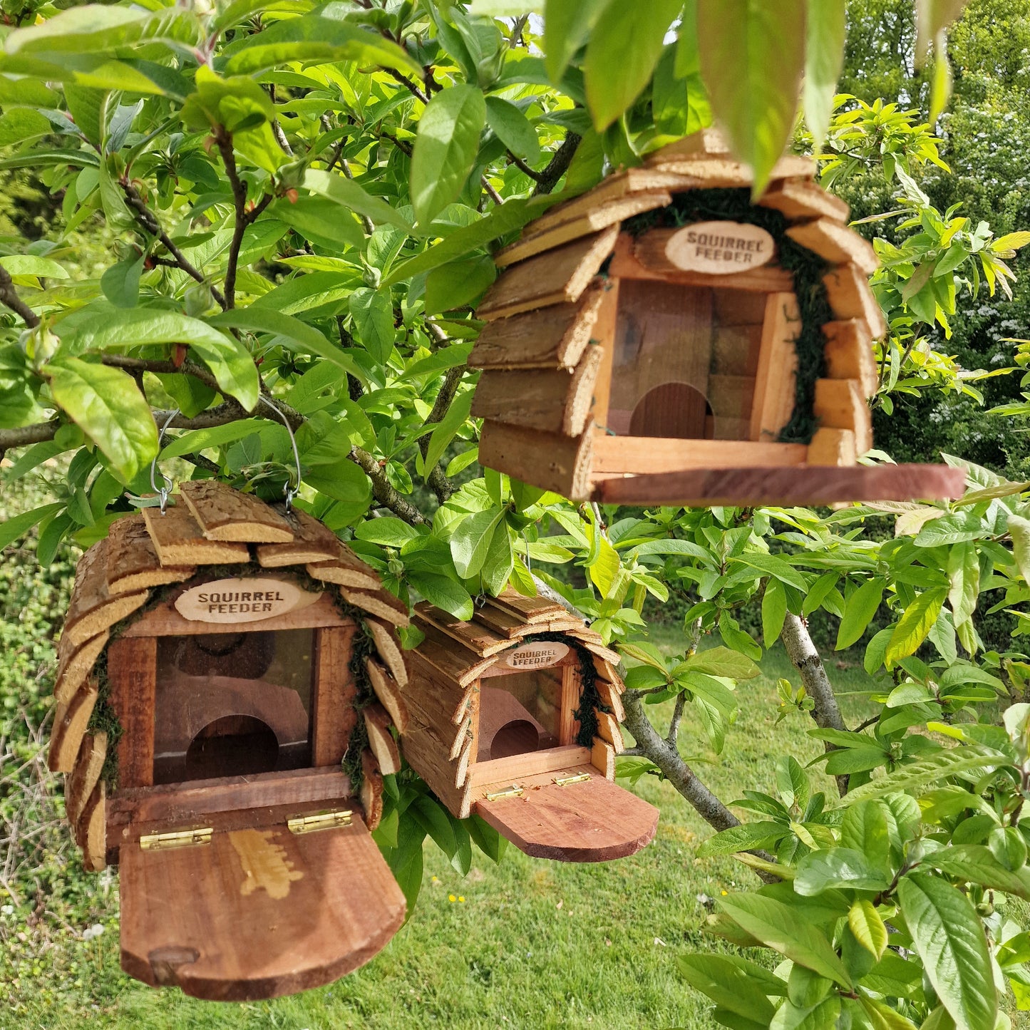 A set of three wooden squirrel feeders hanging from a tree, with transparent plexiglass sides.