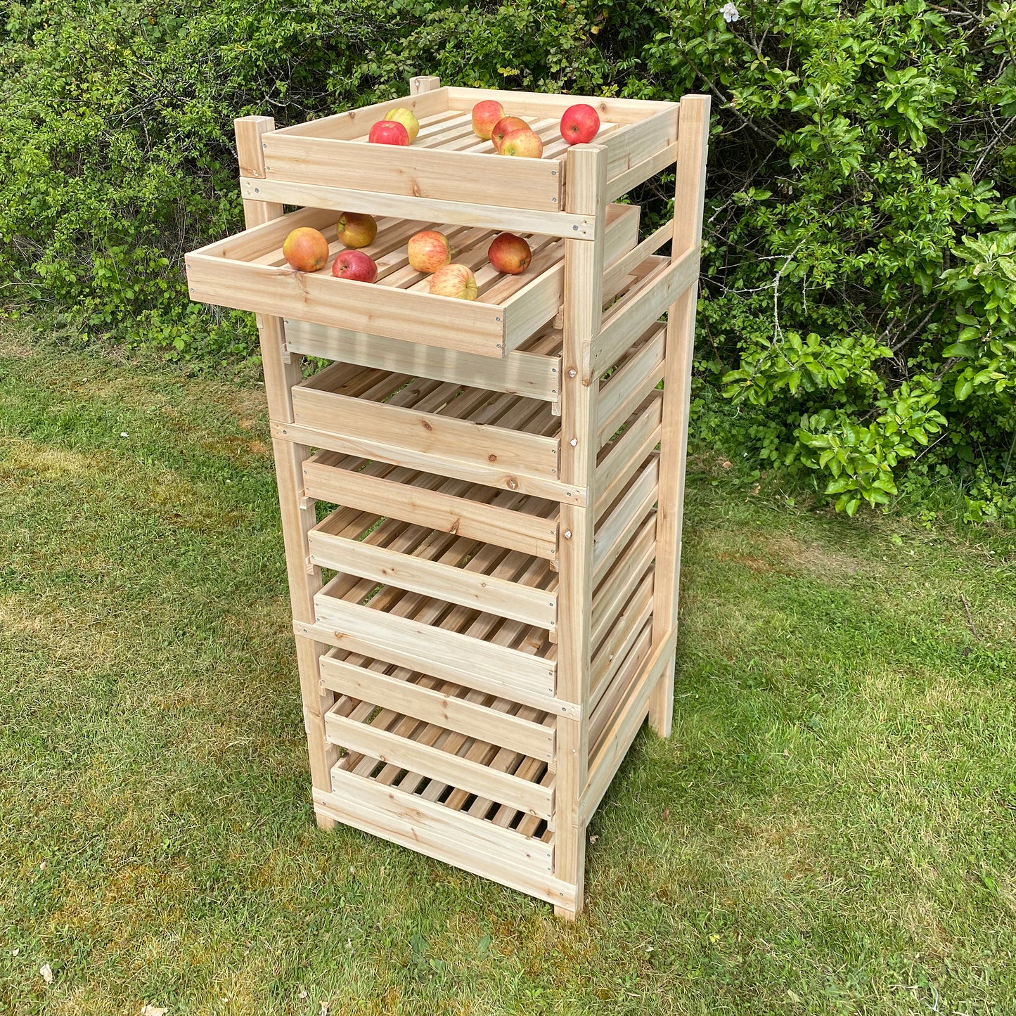 A wooden apple storage rack with multiple drawers, some of which are pulled out, displaying apples. The rack is placed outdoors on a grassy area.