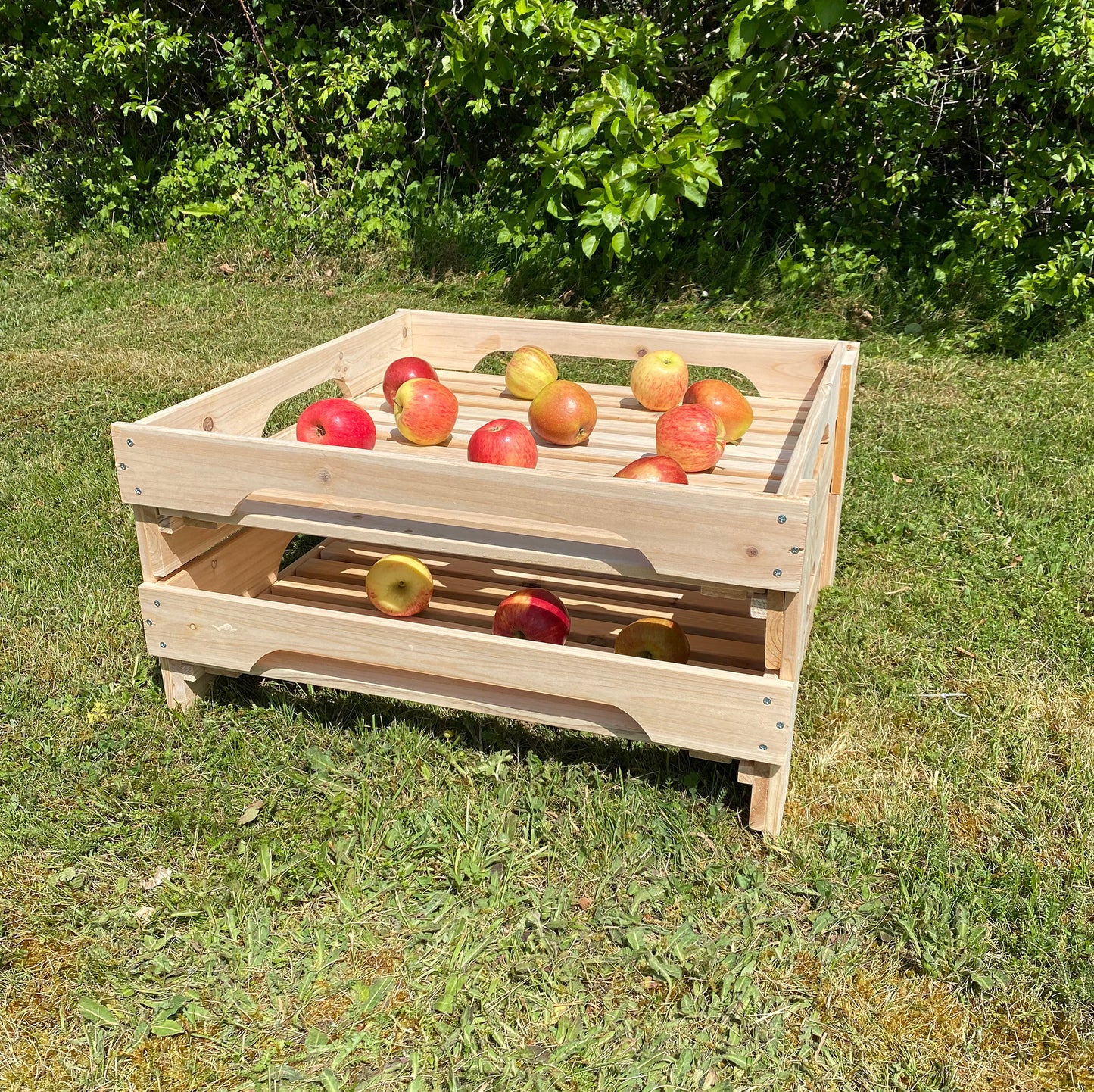 A wooden storage tray rack filled with apples, placed on a grassy surface.
