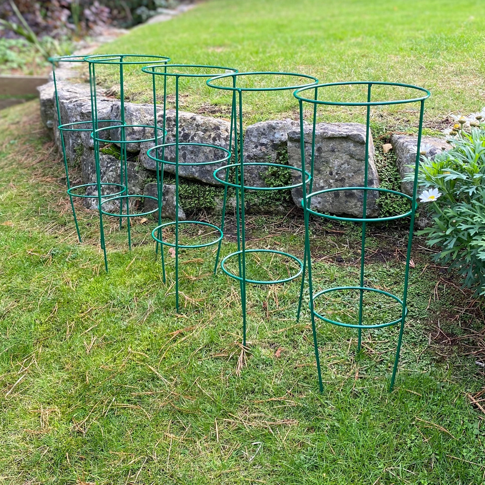 A set of five green metal conical garden plant support rings of varying heights placed on a grassy area.