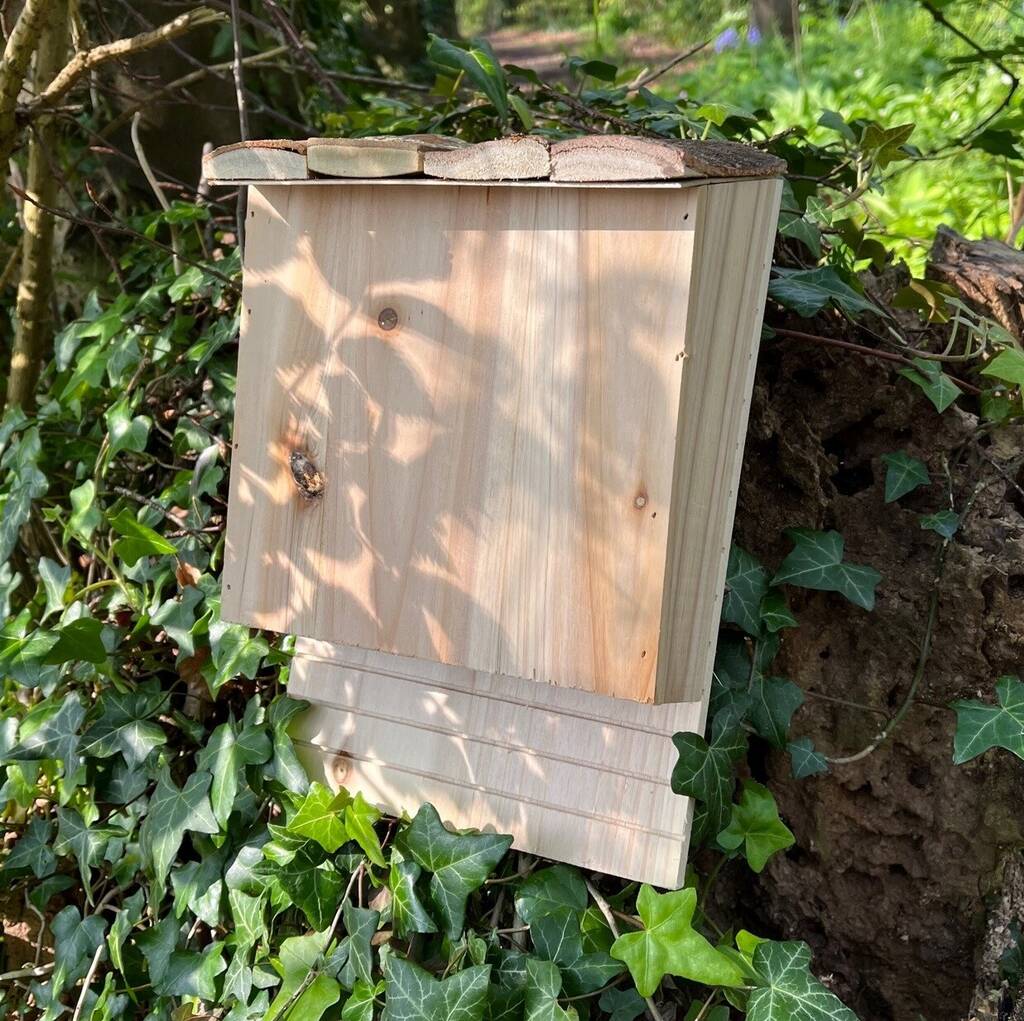 Large Wooden Bat Nesting Roosting Box