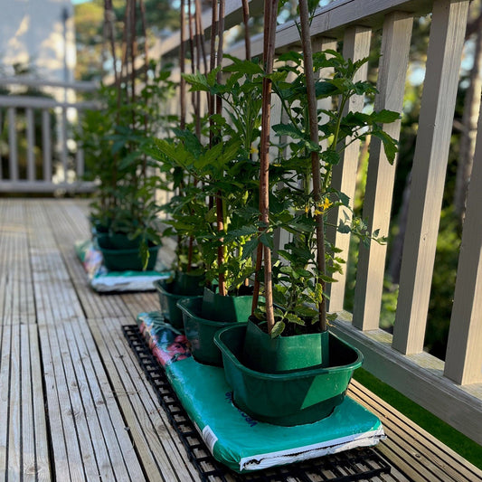 Grow Bag Pots: The Complete Guide to Growing in Grow Bags in the UK