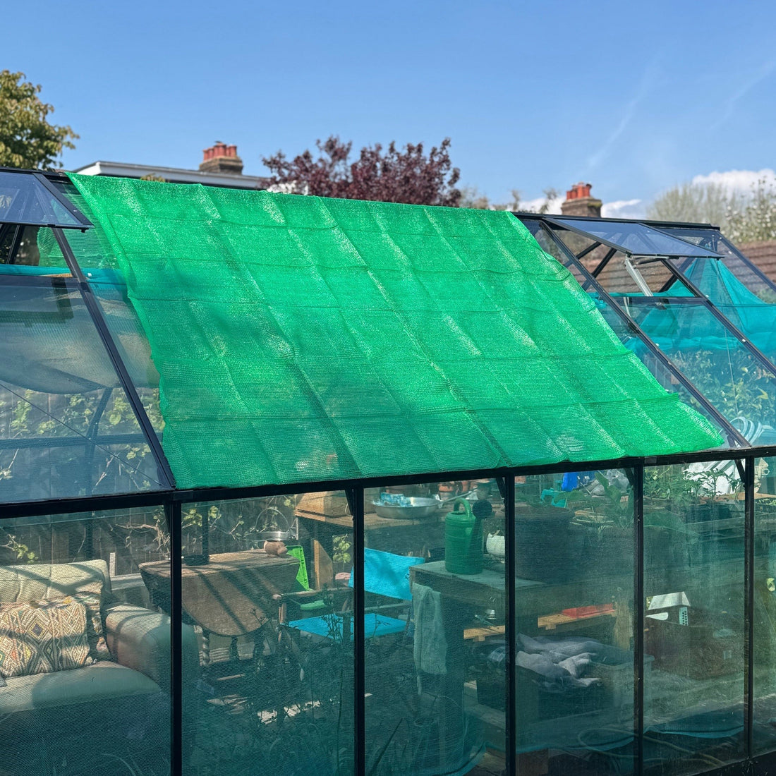 Spring Greenhouse Setup Guide 2026: Get Your Greenhouse Ready for the Growing Season
