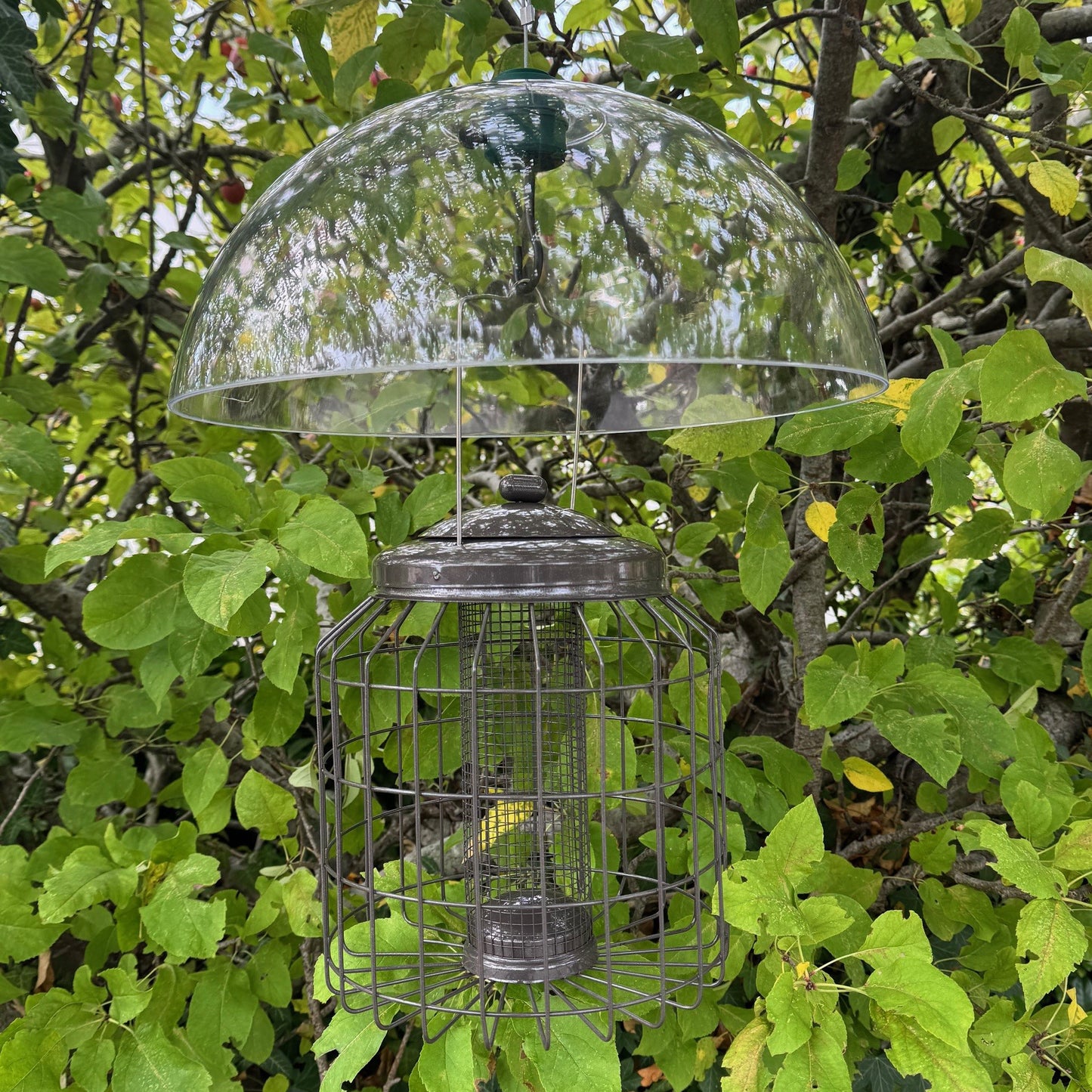 Heavy Duty Squirrel Proof Hanging Bird Nut Feeder & Plastic Baffle