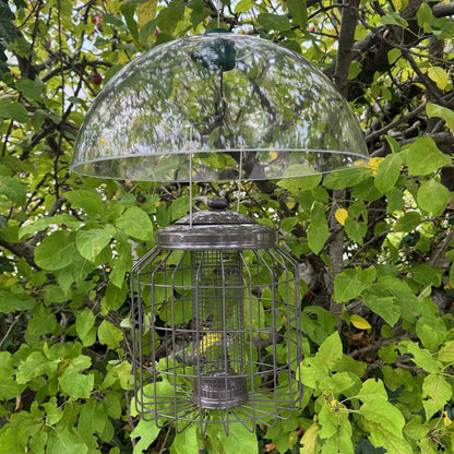 Heavy Duty Squirrel Proof Hanging Bird Nut Feeder & Plastic Baffle