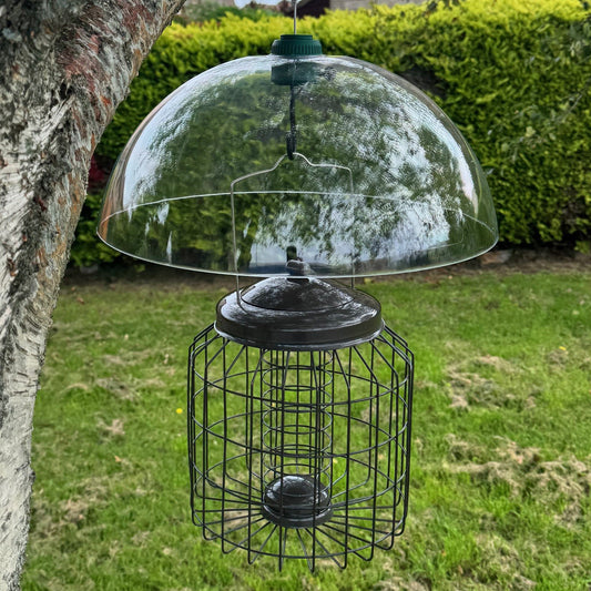 Heavy Duty Squirrel Proof Hanging Suet Fat Ball Bird Feeder & Plastic Baffle