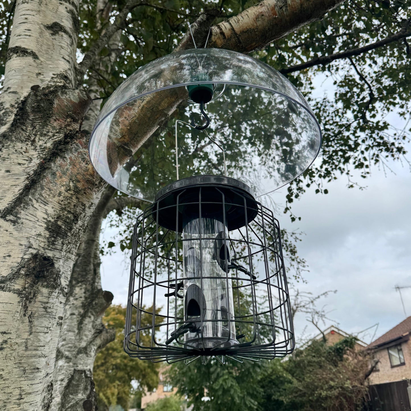 Heavy Duty Squirrel Proof Hanging Bird Seed Feeder & Plastic Baffle