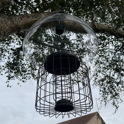 Heavy Duty Squirrel Proof Hanging Suet Fat Ball Bird Feeder & Plastic Baffle