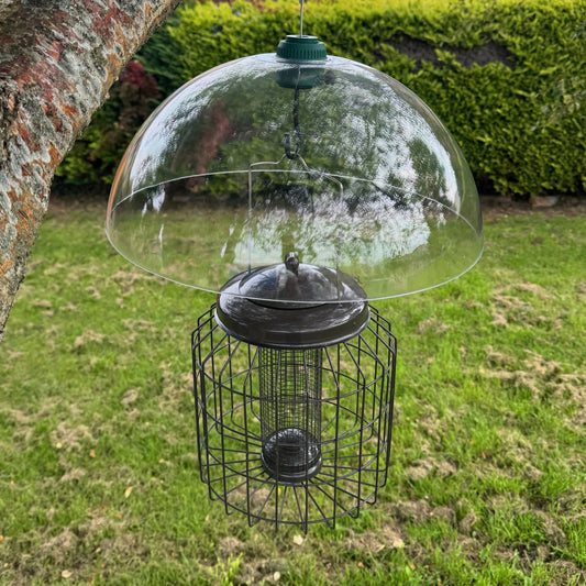 Heavy Duty Squirrel Proof Hanging Bird Nut Feeder & Plastic Baffle