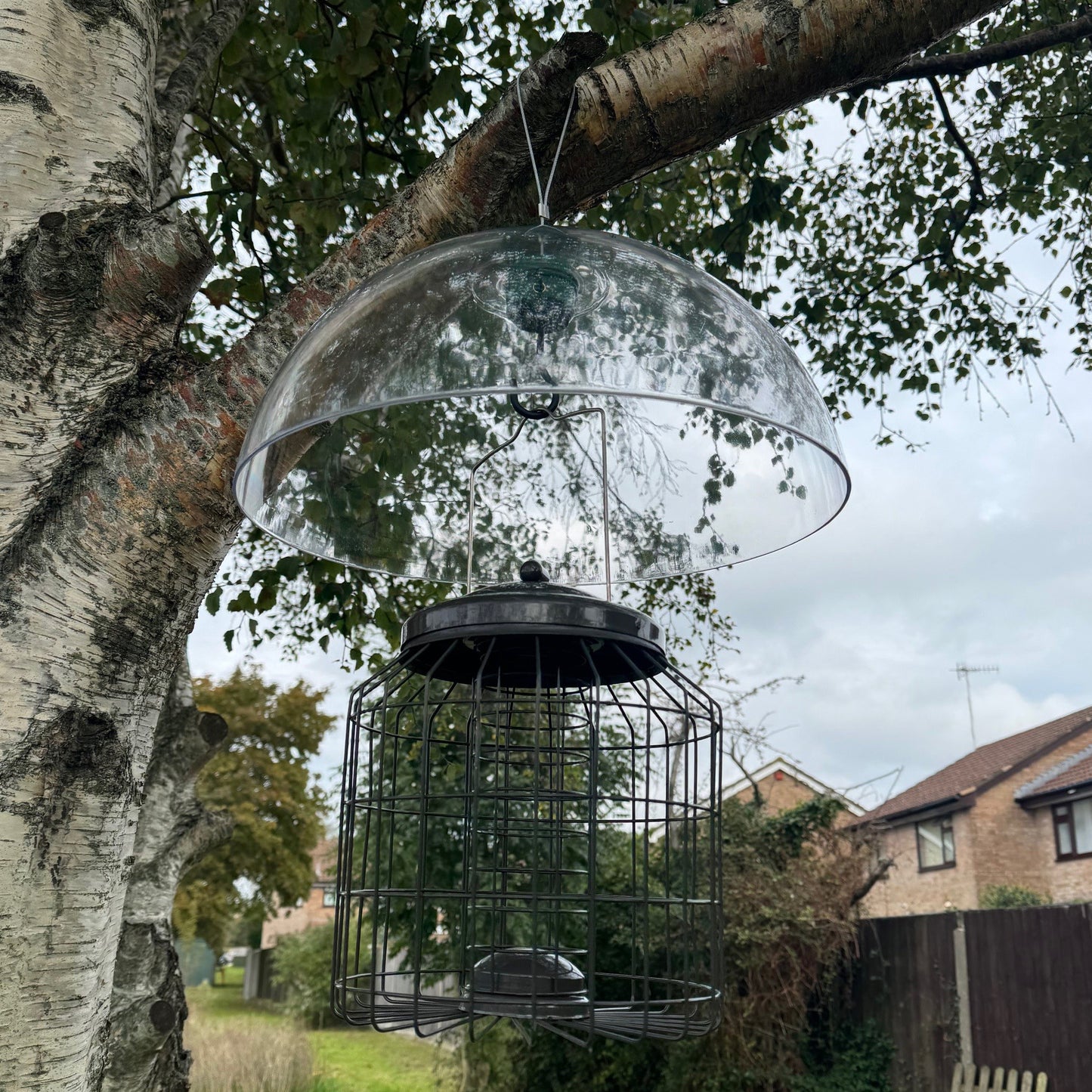 Heavy Duty Squirrel Proof Hanging Suet Fat Ball Bird Feeder & Plastic Baffle