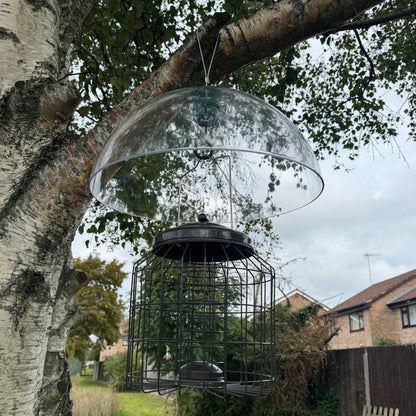 Heavy Duty Squirrel Proof Hanging Suet Fat Ball Bird Feeder & Plastic Baffle