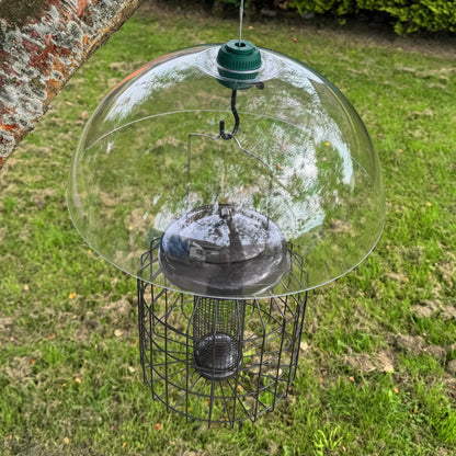 Heavy Duty Squirrel Proof Hanging Bird Nut Feeder & Plastic Baffle