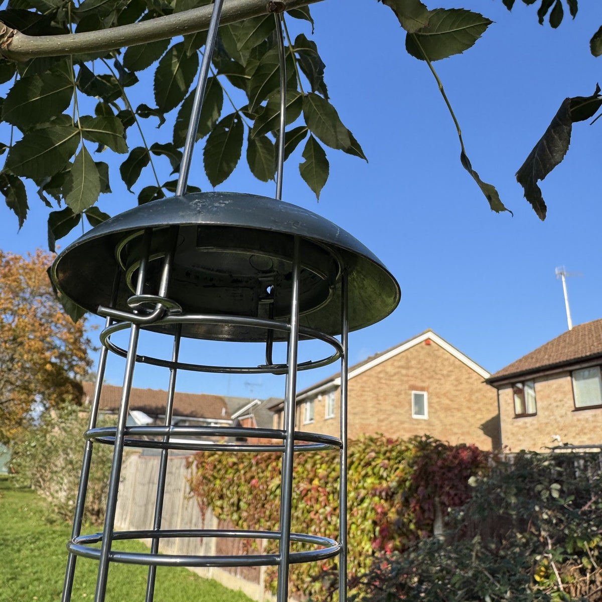 Heavy Duty Hanging Bird Suet Fat Ball Feeder