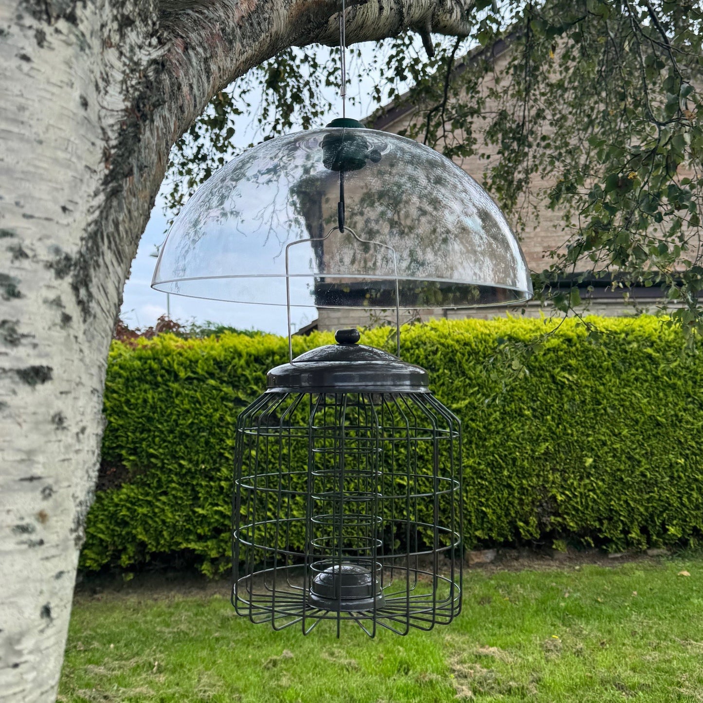 Heavy Duty Squirrel Proof Hanging Suet Fat Ball Bird Feeder & Plastic Baffle
