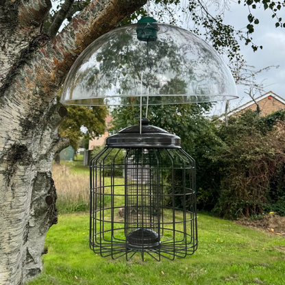 Heavy Duty Squirrel Proof Hanging Bird Nut Feeder & Plastic Baffle
