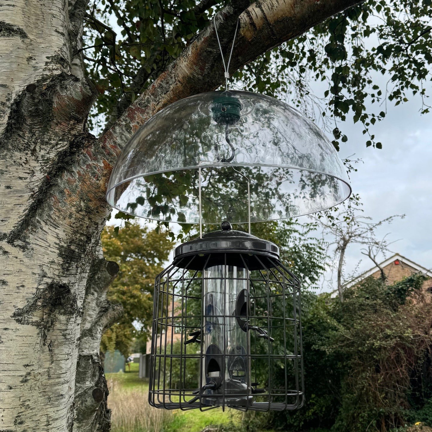 Heavy Duty Squirrel Proof Hanging Bird Seed Feeder & Plastic Baffle