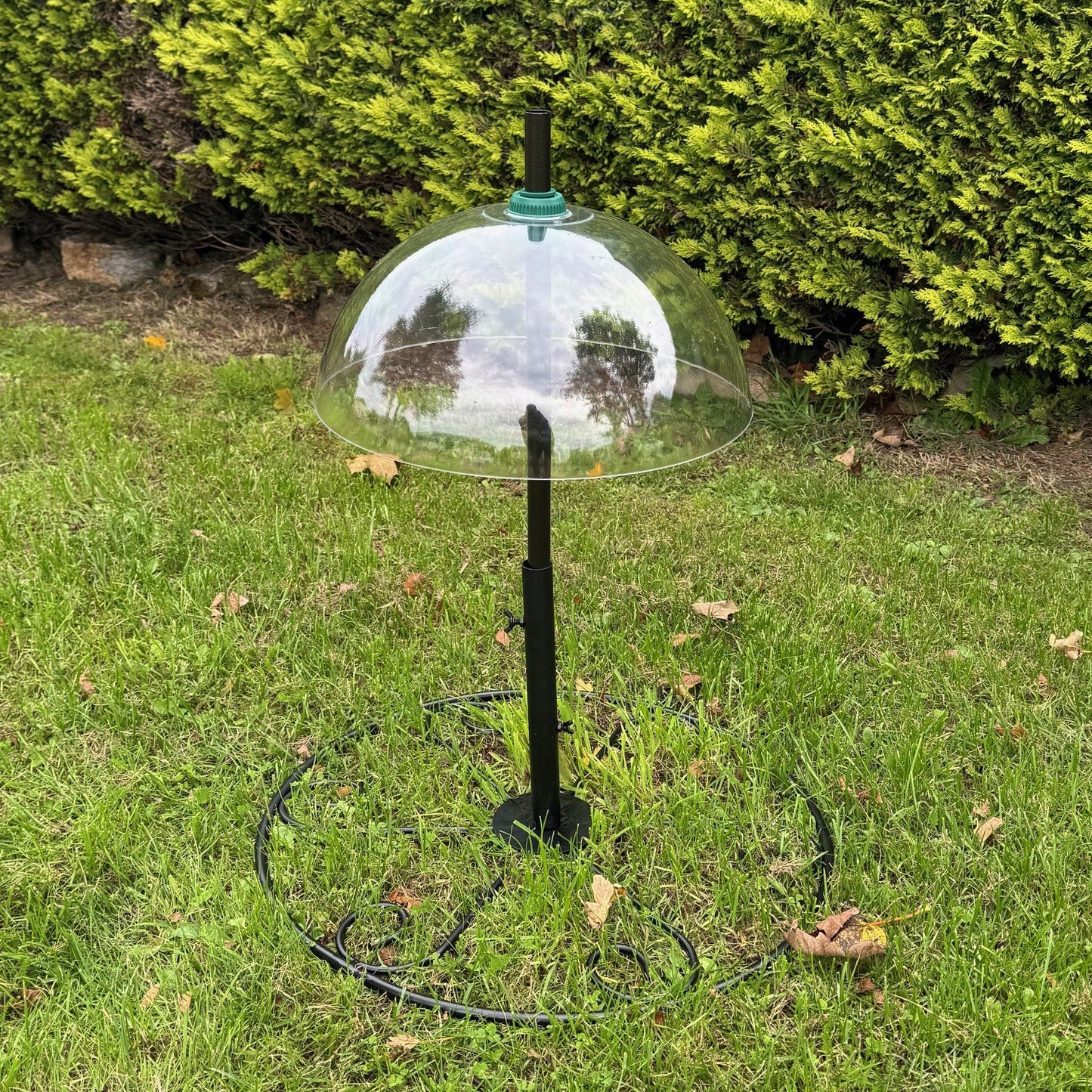 Bird Feeding Station Squirrel Baffle, Extension Pole & Patio Stand Pack