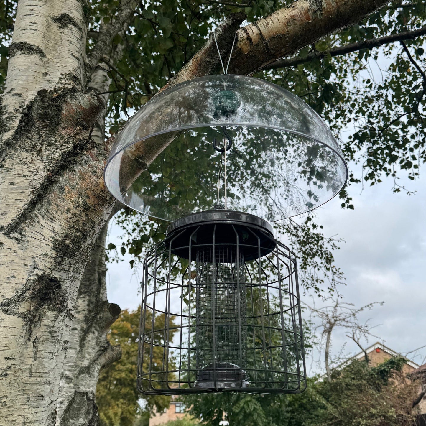 Heavy Duty Squirrel Proof Hanging Bird Nut Feeder & Plastic Baffle