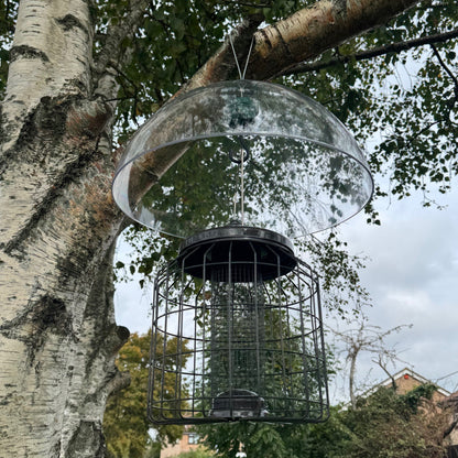 Heavy Duty Squirrel Proof Hanging Bird Nut Feeder & Plastic Baffle