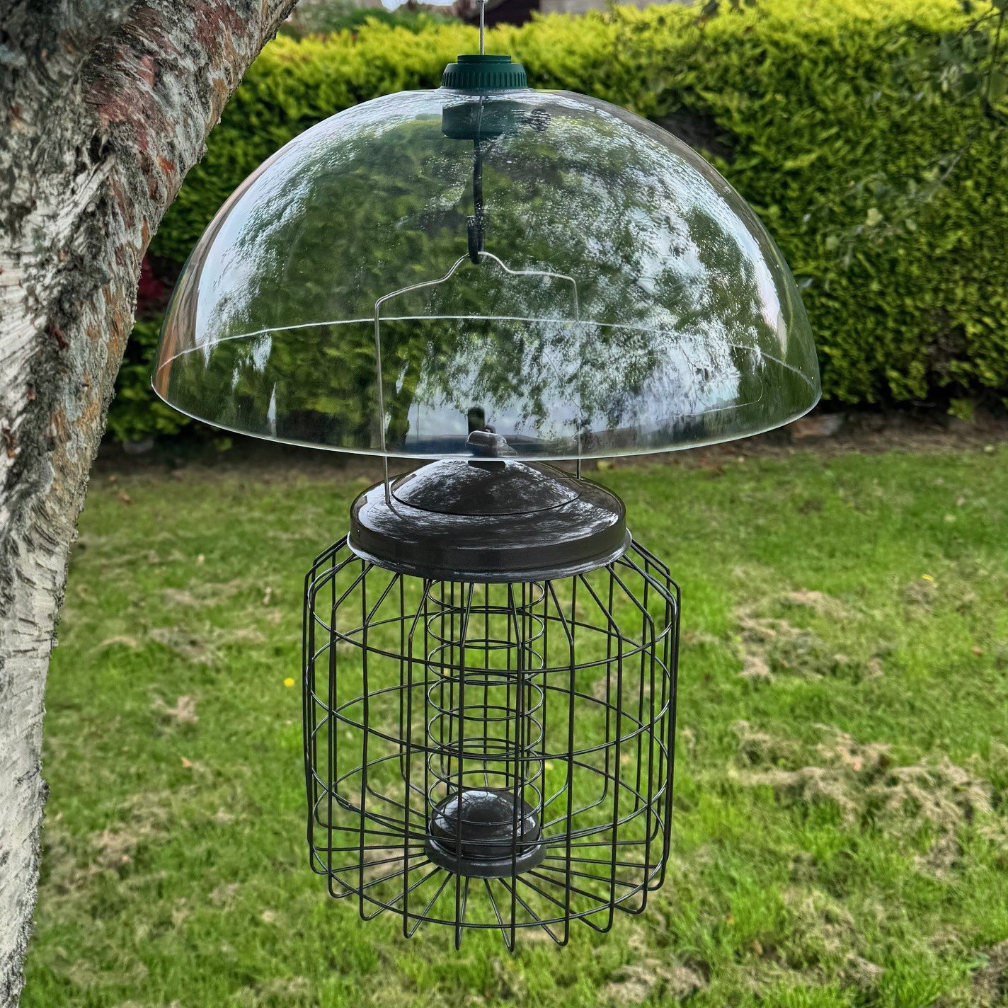 Heavy Duty Squirrel Proof Hanging Suet Fat Ball Bird Feeder & Plastic Baffle