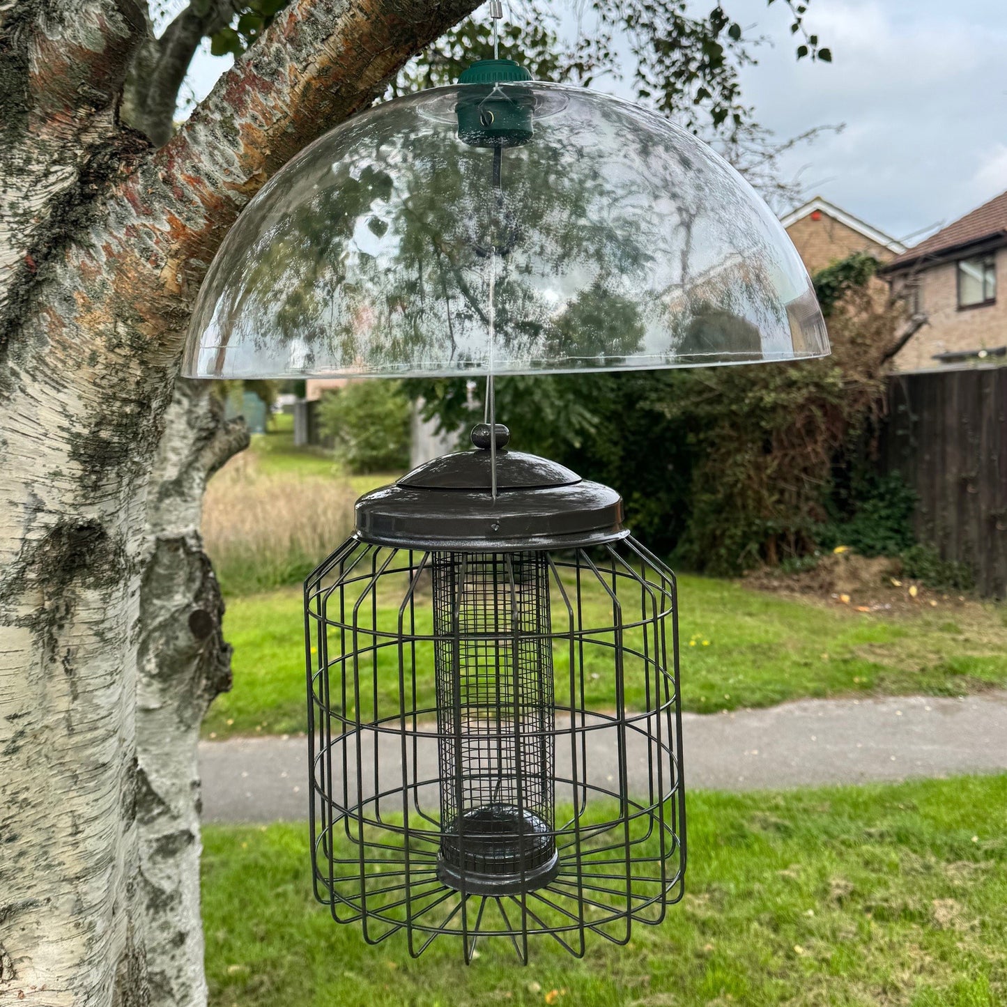 Heavy Duty Squirrel Proof Hanging Bird Nut Feeder & Plastic Baffle