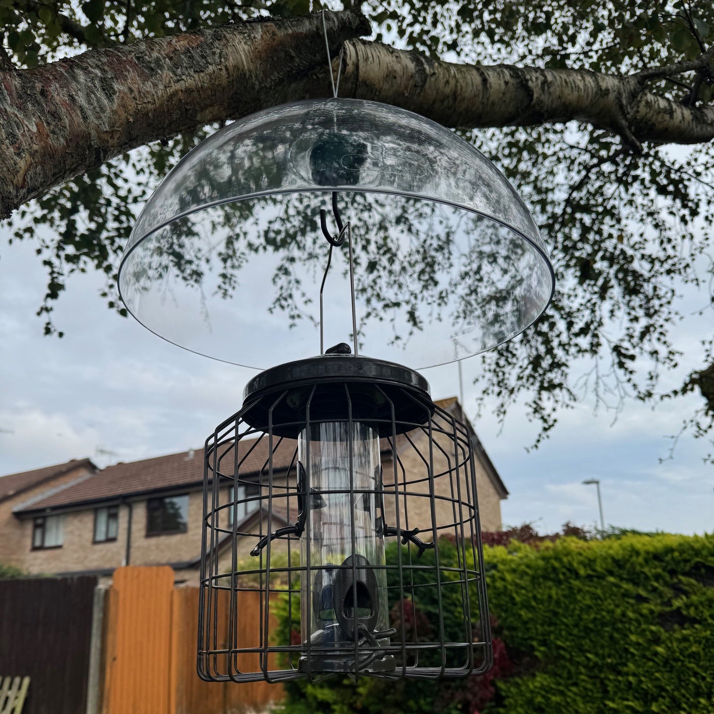 Heavy Duty Squirrel Proof Hanging Bird Seed Feeder & Plastic Baffle