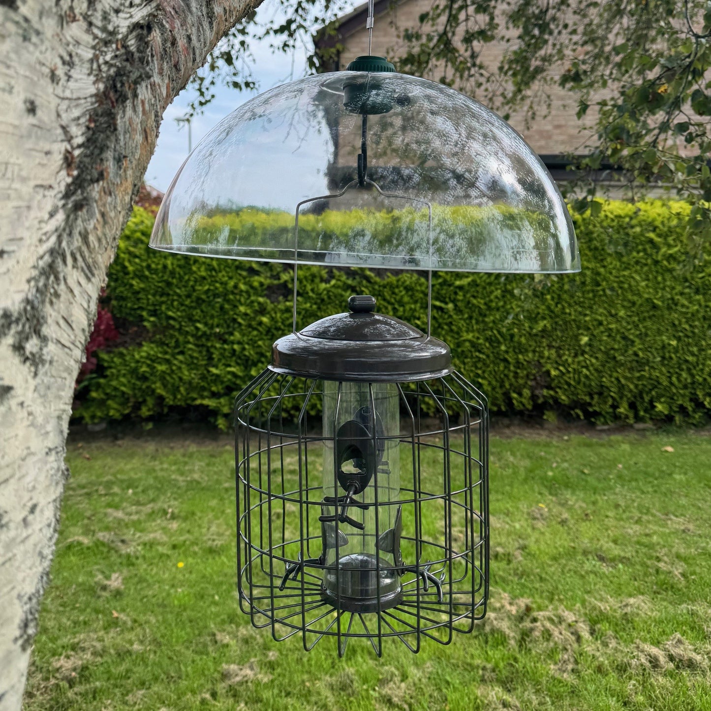 Heavy Duty Squirrel Proof Hanging Bird Seed Feeder & Plastic Baffle