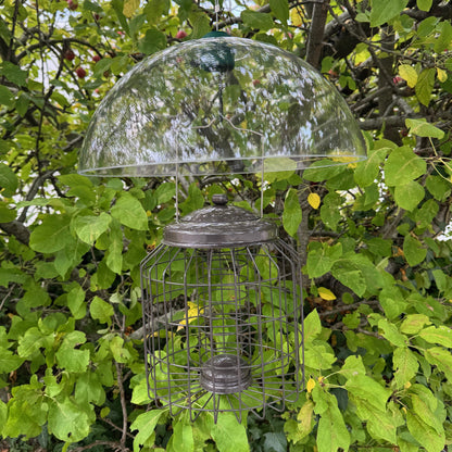 Heavy Duty Squirrel Proof Hanging Suet Fat Ball Bird Feeder & Plastic Baffle