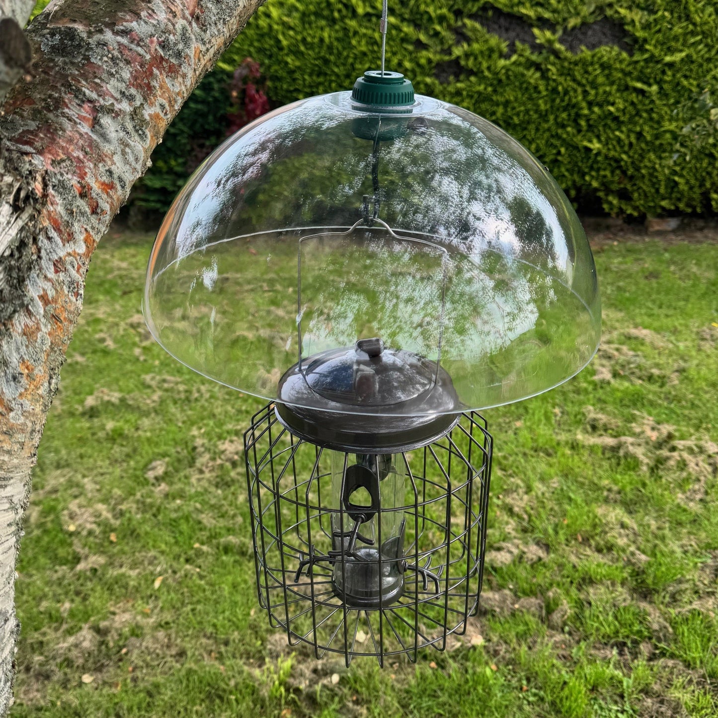 Heavy Duty Squirrel Proof Hanging Bird Seed Feeder & Plastic Baffle