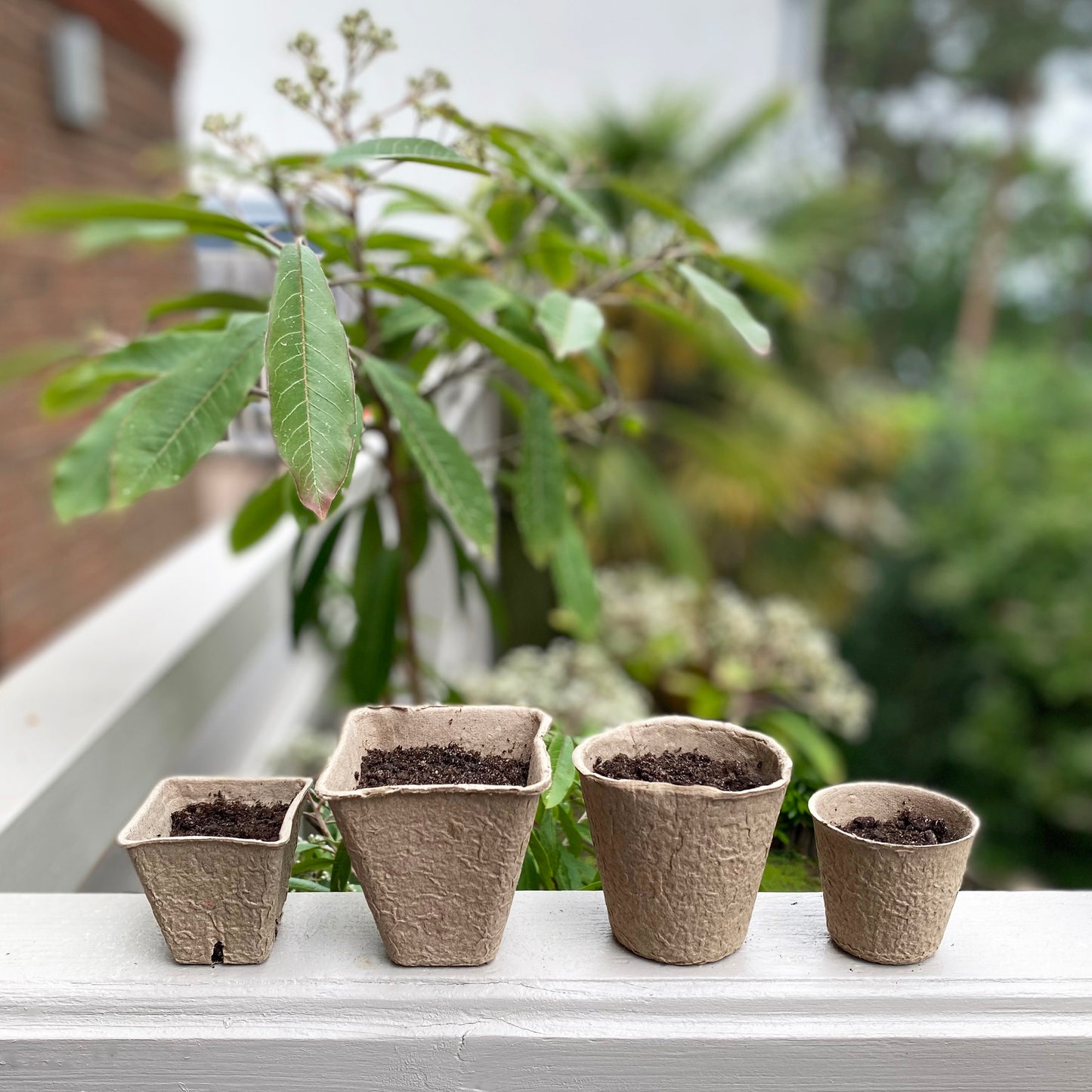 144 x 8cm Eco Square Fibre Biodegradable and Compostable Plant Pots
