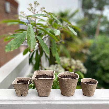 small compostable plant pots Eco Square Fibre Biodegradable and Compostable Plant Pots (8cm)