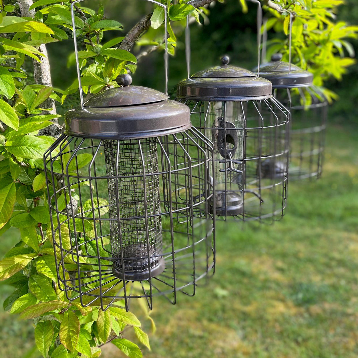 Delux Heavy Duty Squirrel Proof Hanging Nut, Seed & Fat Ball Bird Feeders (Set of 3)