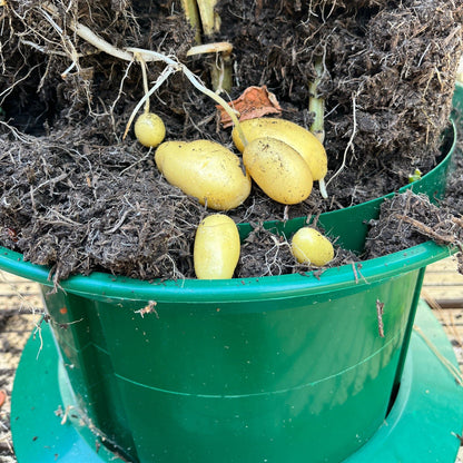Platform Potato Growpot Planter