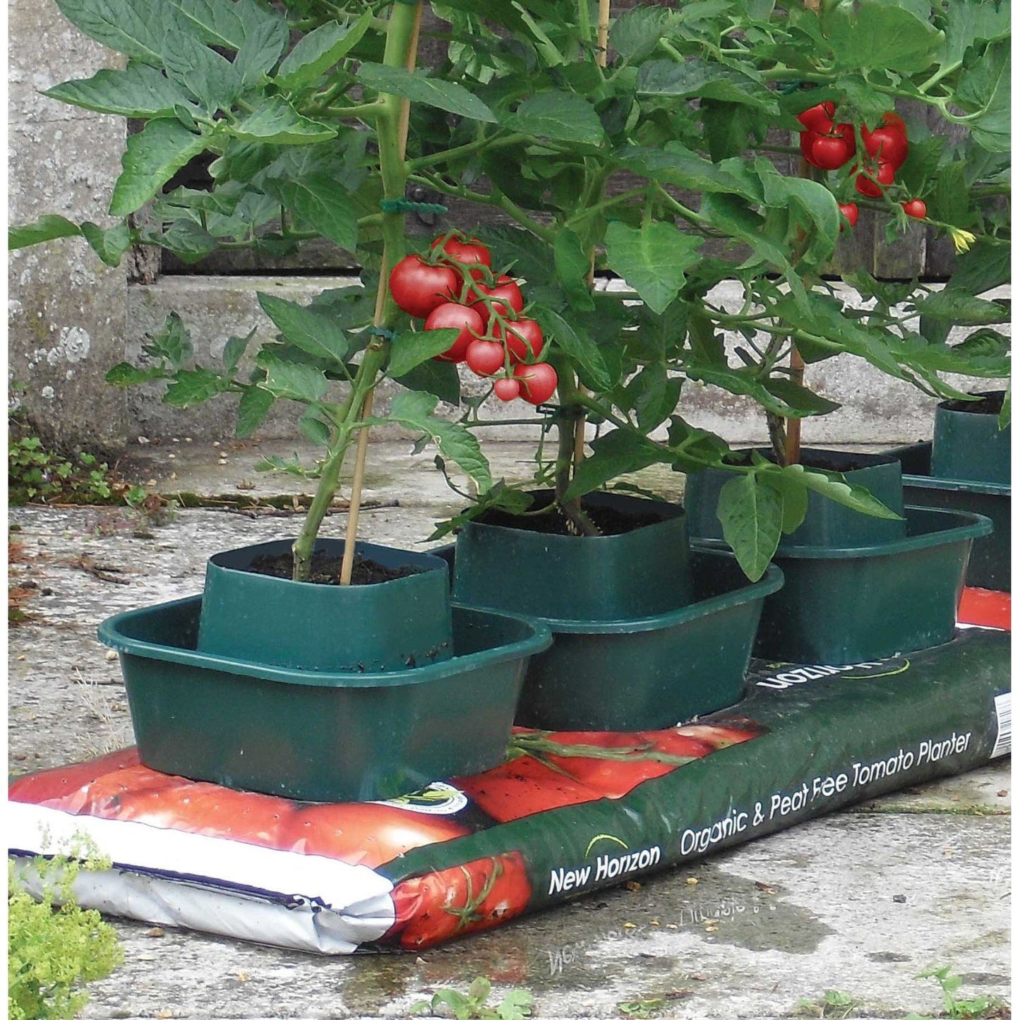 Tomato & Vegetable Growbag Pots (Set of 6)