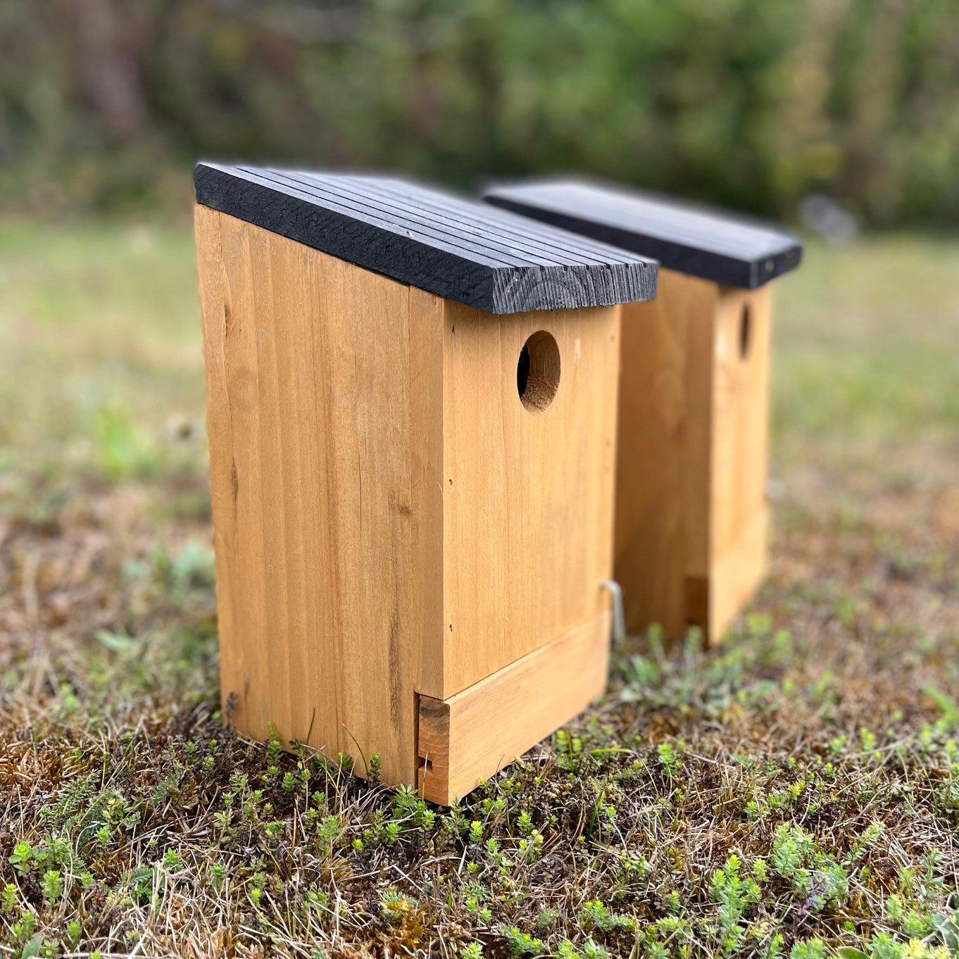 Traditional Wooden Bird Nest Box Birdhouses with Removable Bases (Set of 2)
