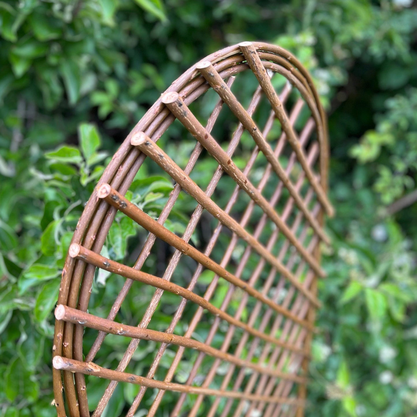 Set of 3 Willow Trellis With Curved Top (120cm x 45cm)