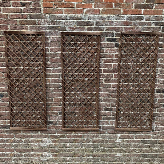 Set of 3 Willow Trellis Framed Panel (120cm x 45cm)