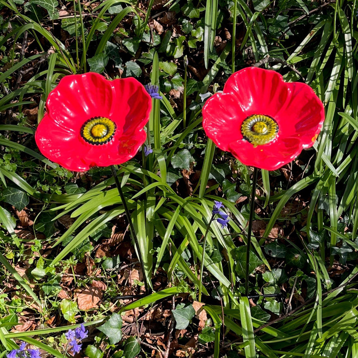 Cast Iron Poppy Dish Wild Bird Feeders