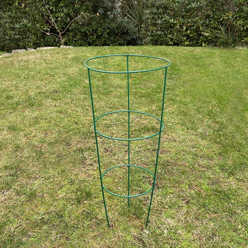 Single Conical Garden Plant Support Ring (60cm) GFE866