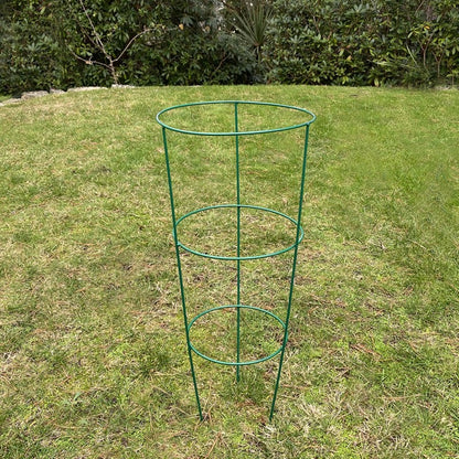 Single Conical Garden Plant Support Ring (60cm) GFE866