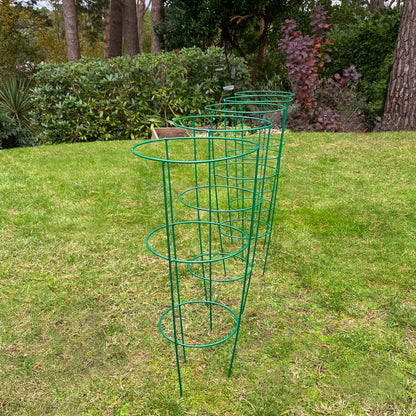 Pack of 5 Conical Garden Plant Support Rings (60cm)