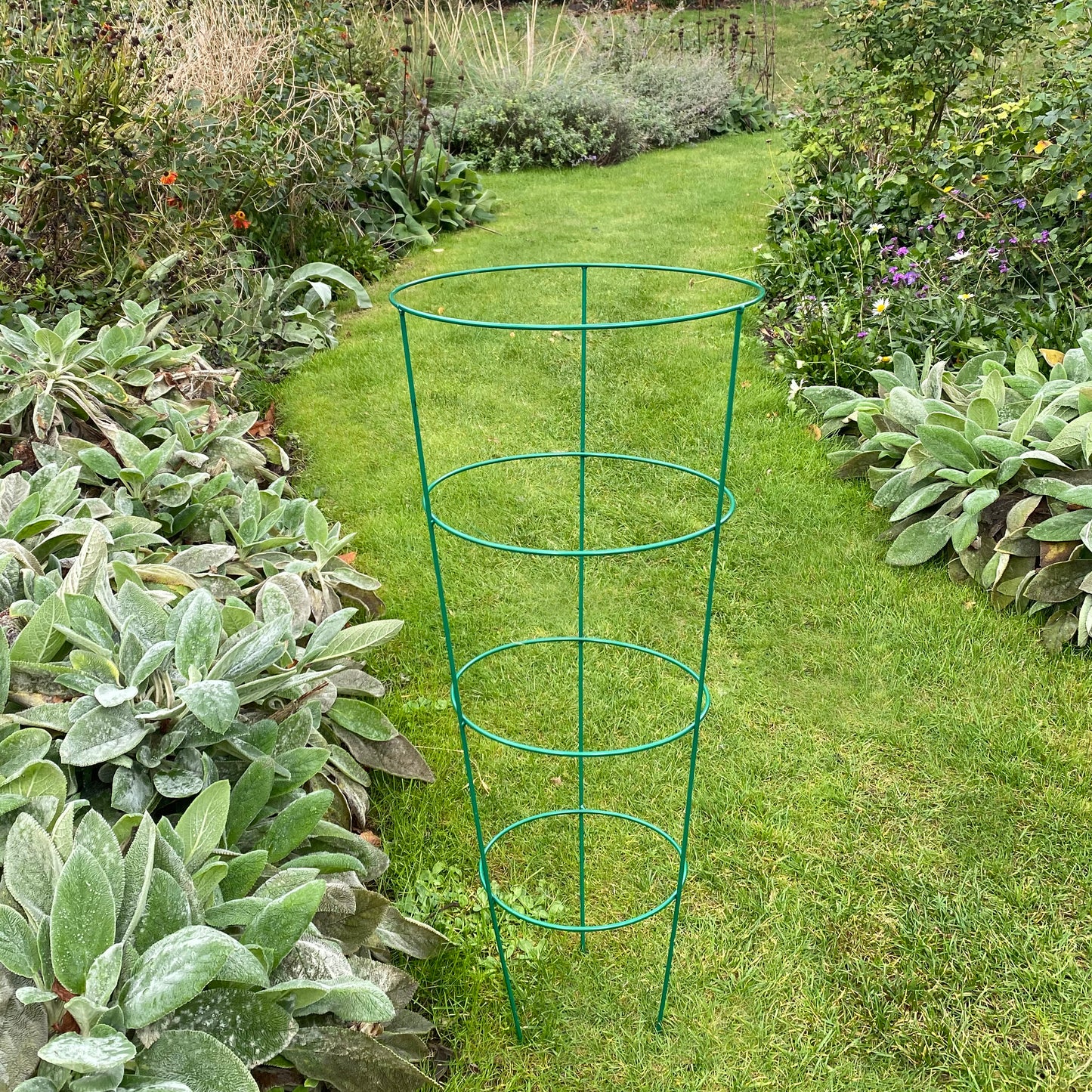 Pack of 5 Conical Garden Plant Support Rings (75cm)