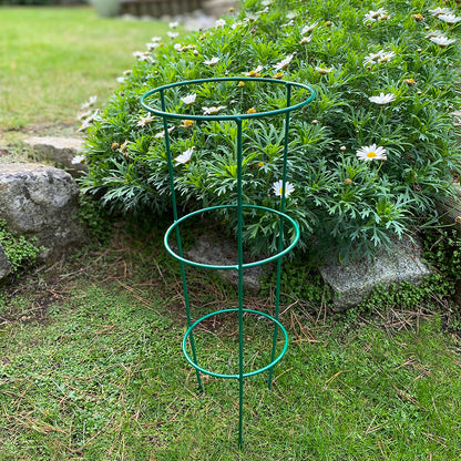 Single Conical Garden Plant Support Ring (48cm)