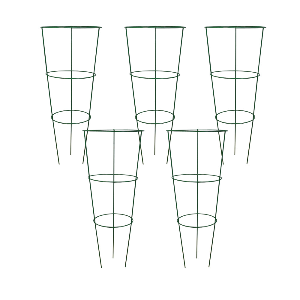 Pack of 5 Conical Garden Plant Support Rings (48cm) Tomato Flower