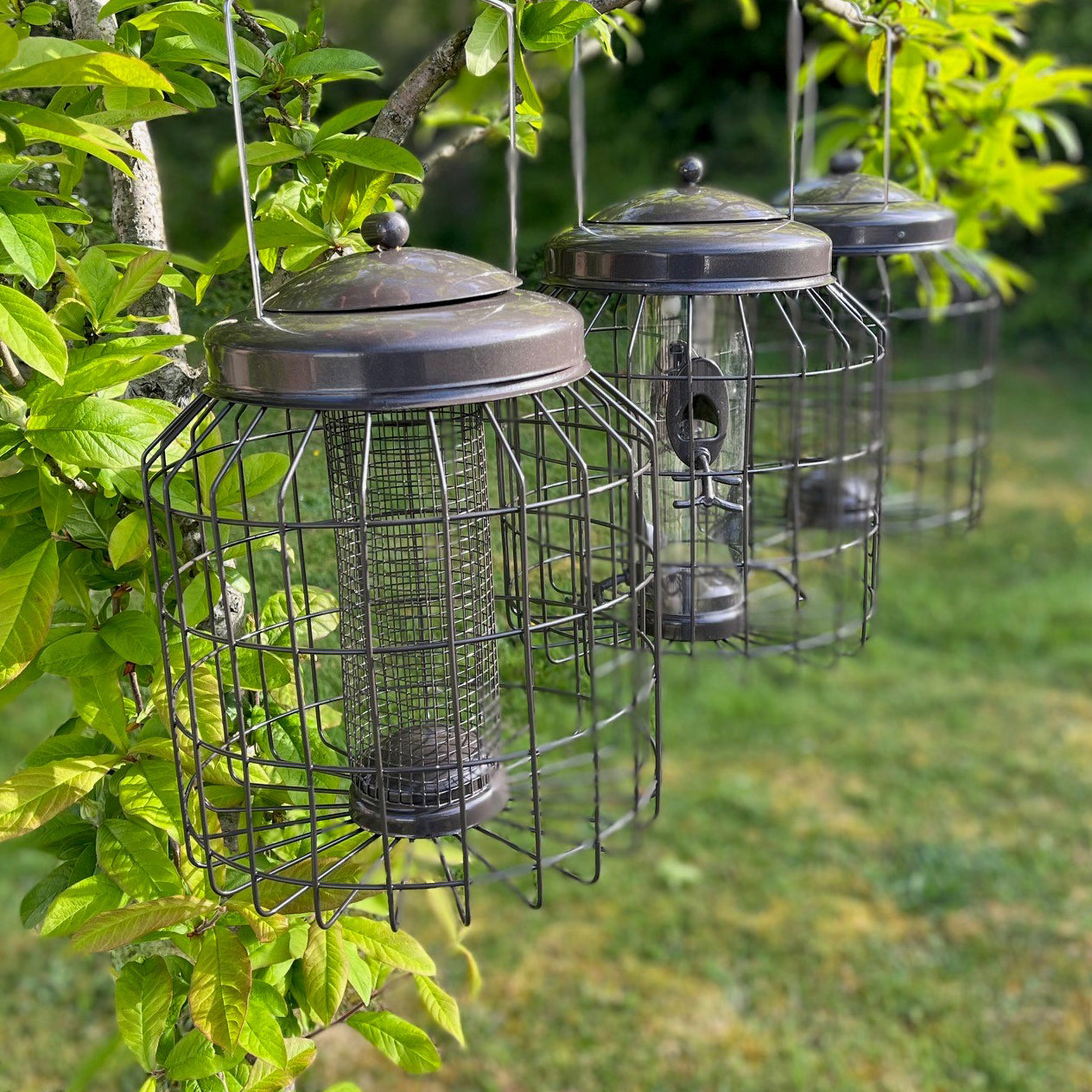 Delux Heavy Duty Squirrel Proof Hanging Nut, Seed & Fat Ball Bird Feeders (Set of 3)